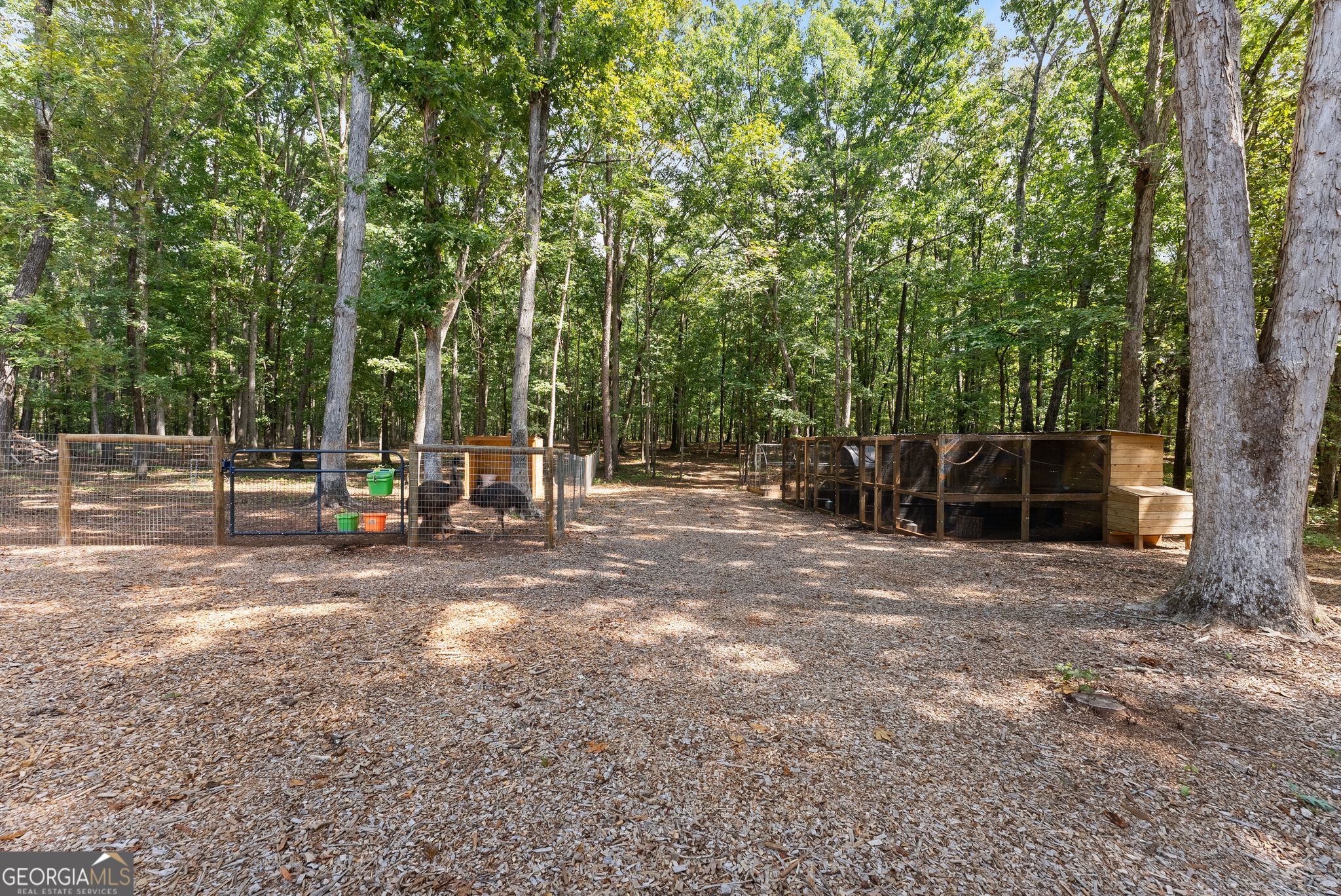 631 Edmondson Road Property Photo 28