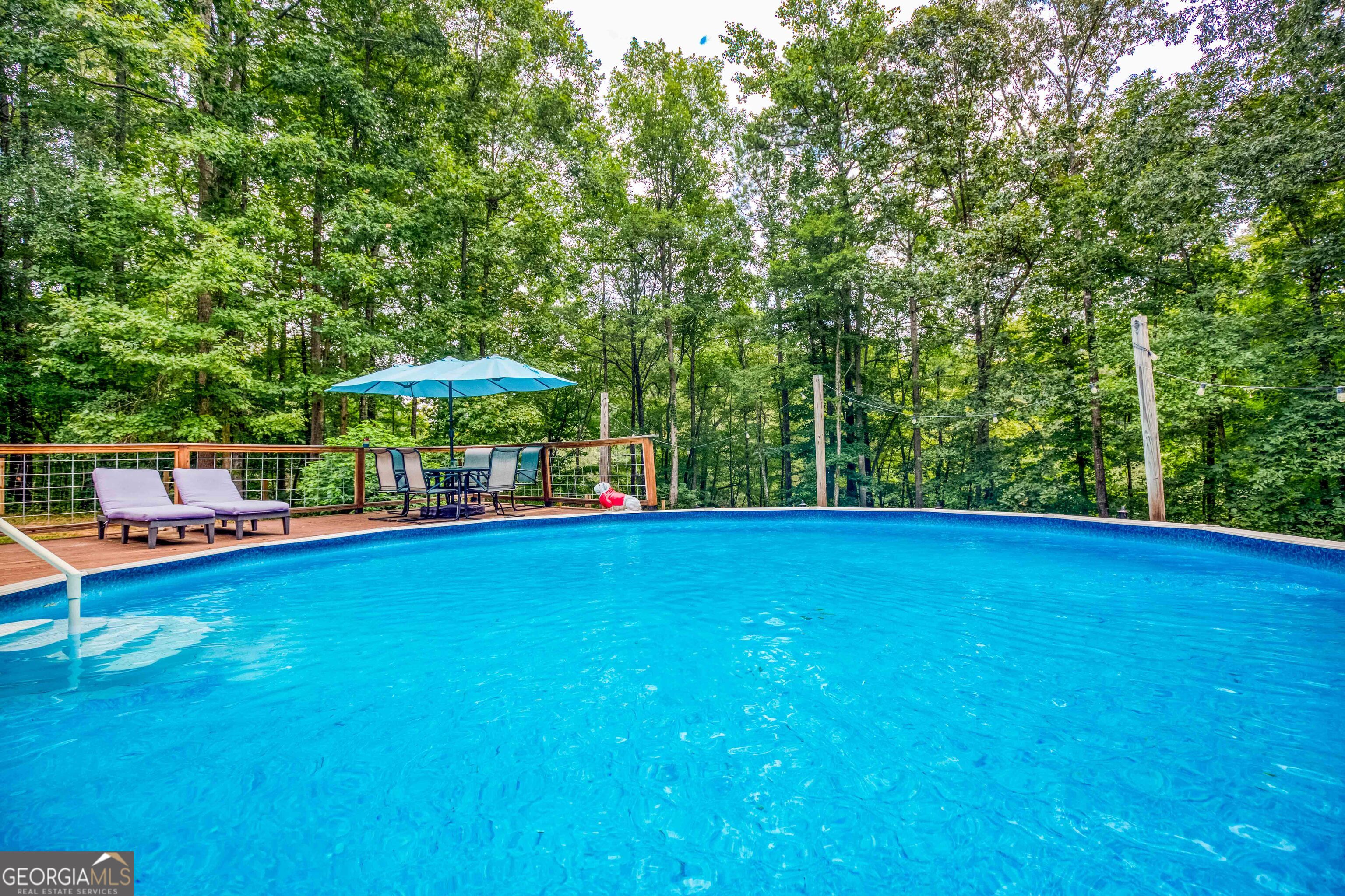 265 Riverbrooke Trail Property Photo 37