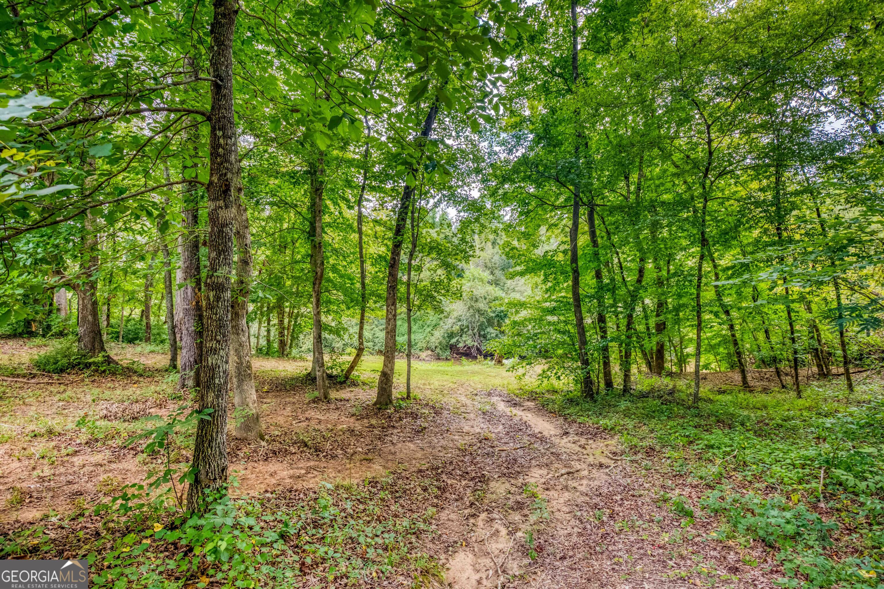 265 Riverbrooke Trail Property Photo 43
