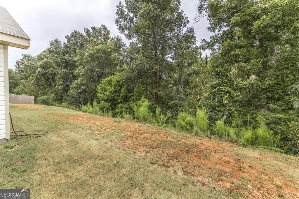141 Red Tail Circle Property Photo 24