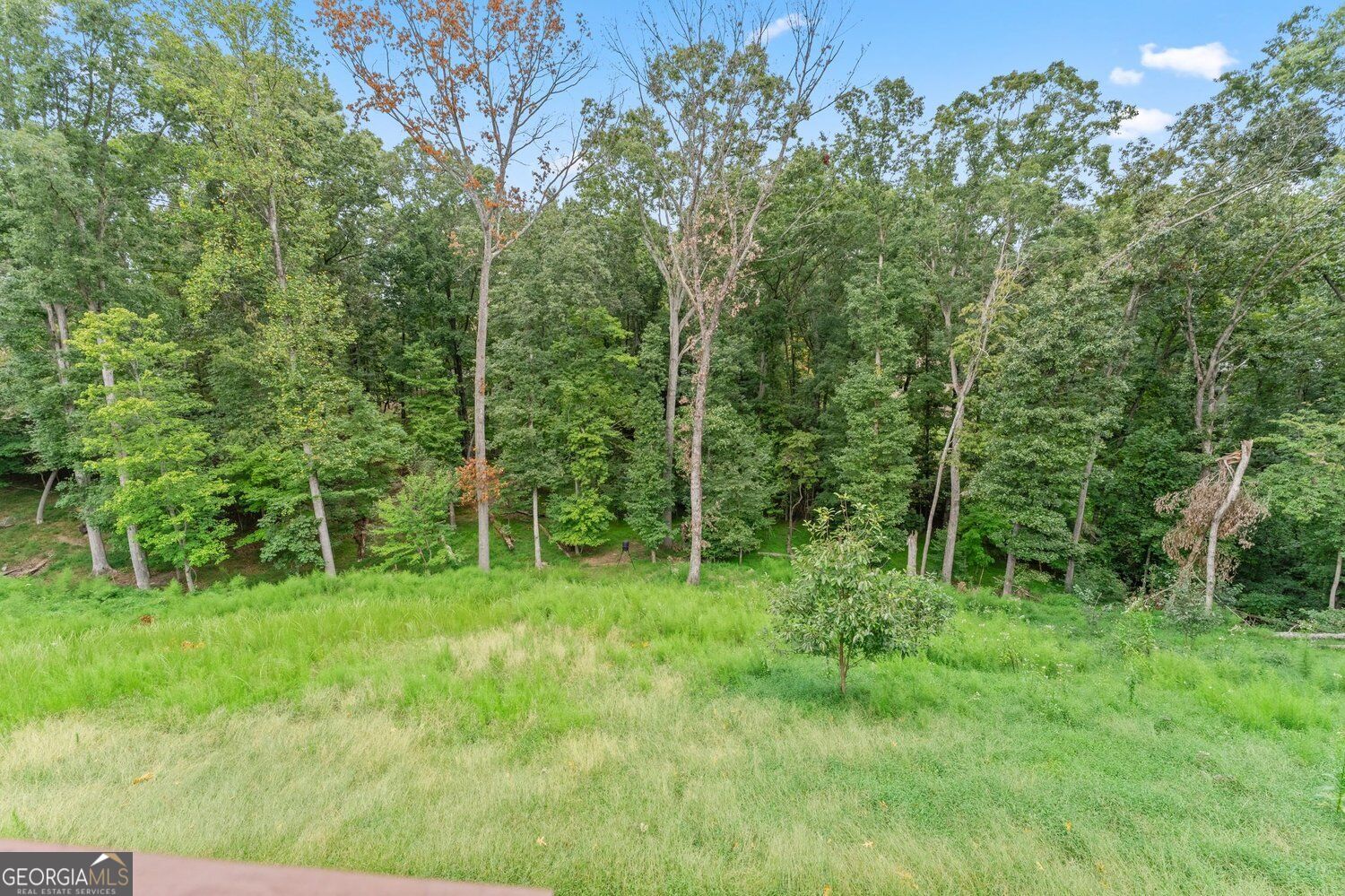 1165 Antioch Campground Road Property Photo 46