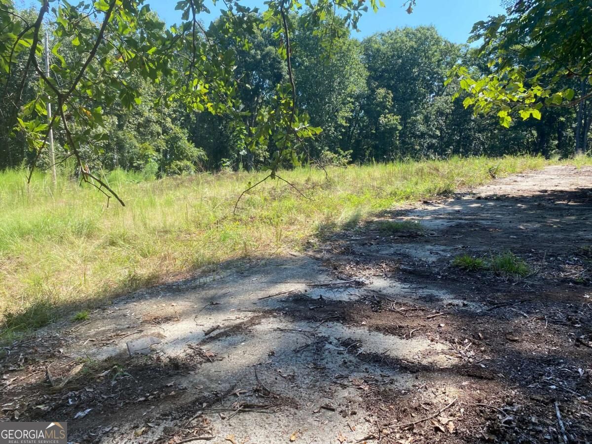 1028 Oak Grove Road Property Photo 4