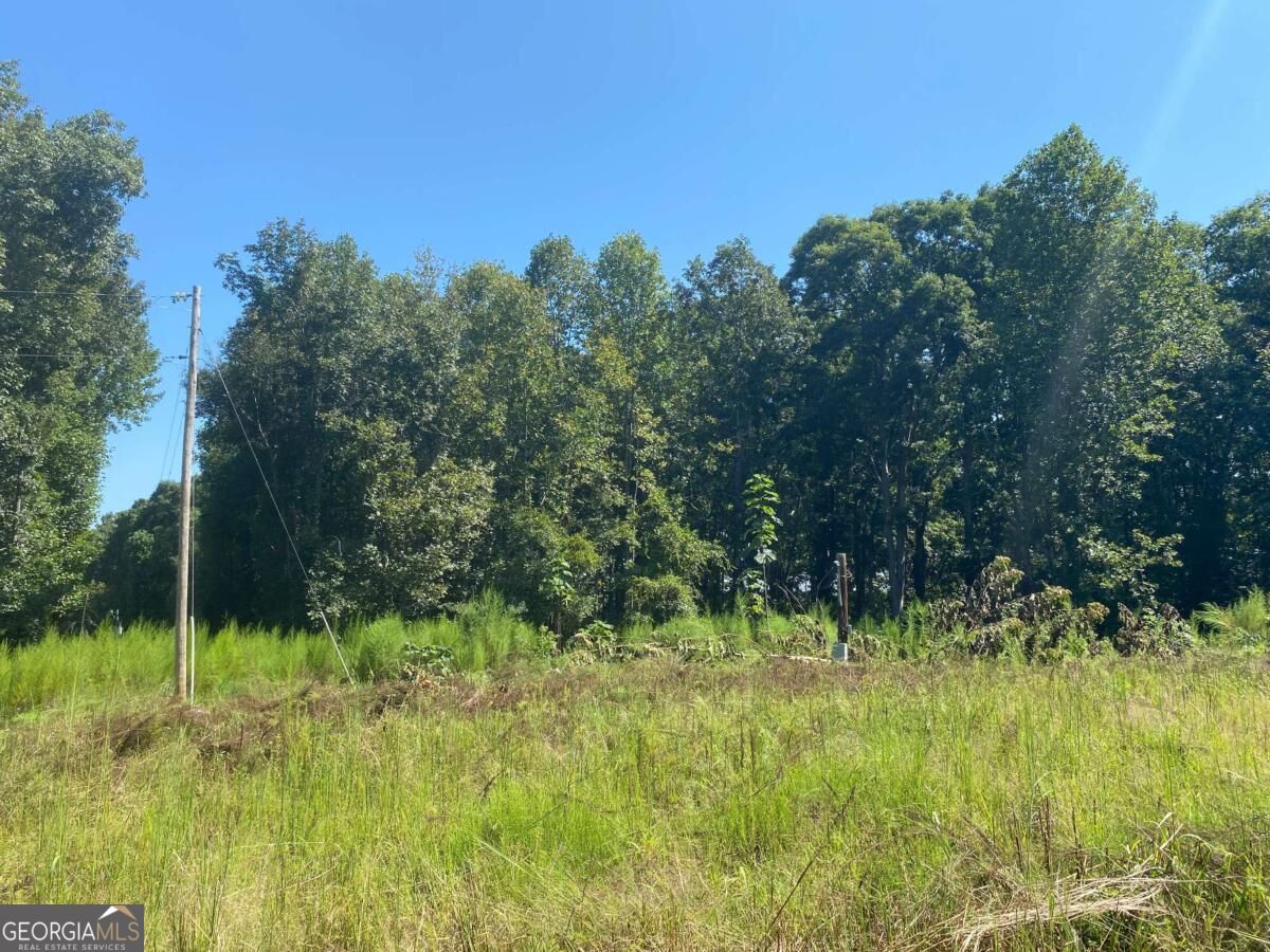 1028 Oak Grove Road Property Photo 5