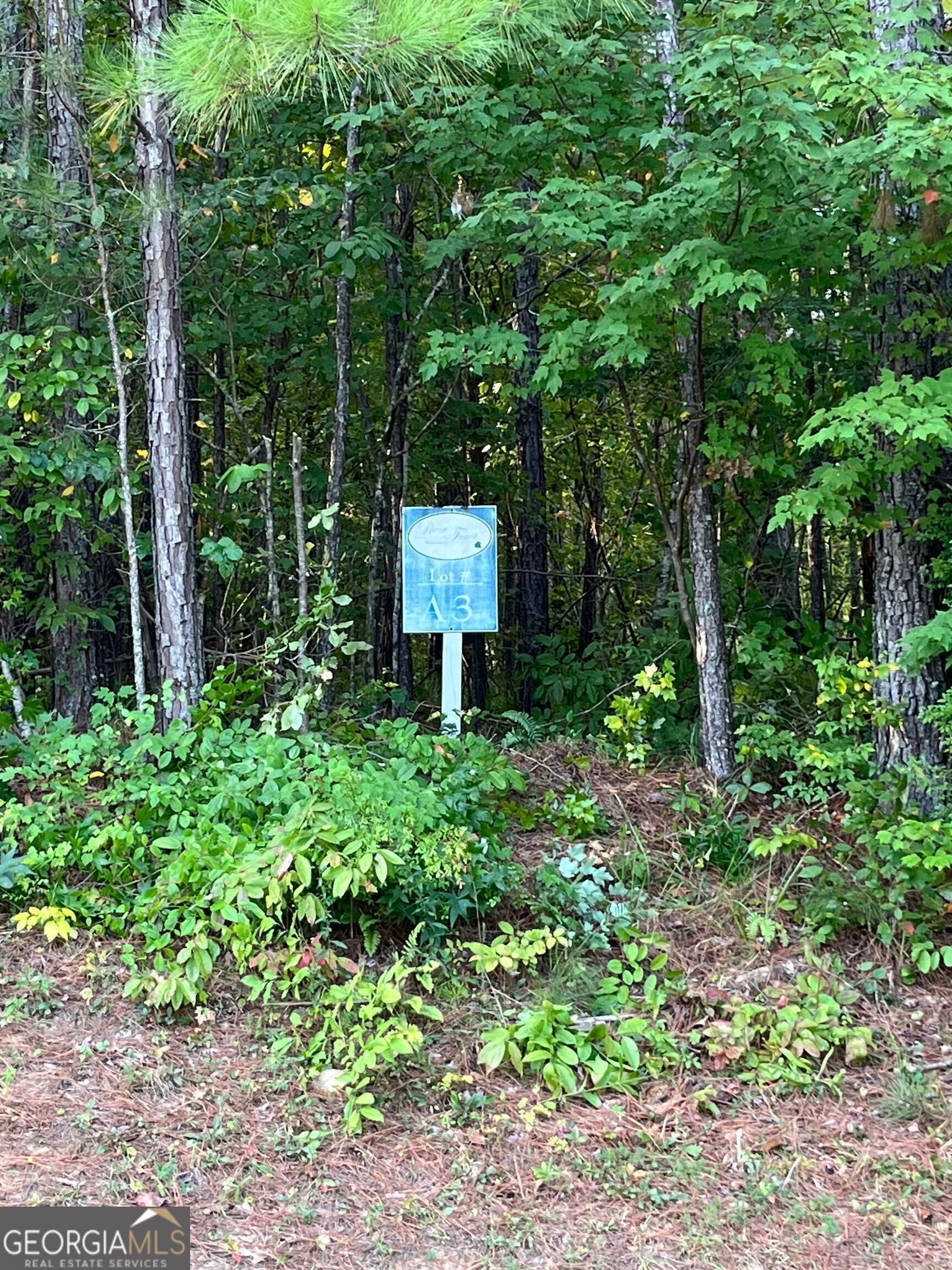 205 River Overlook Property Photo 1