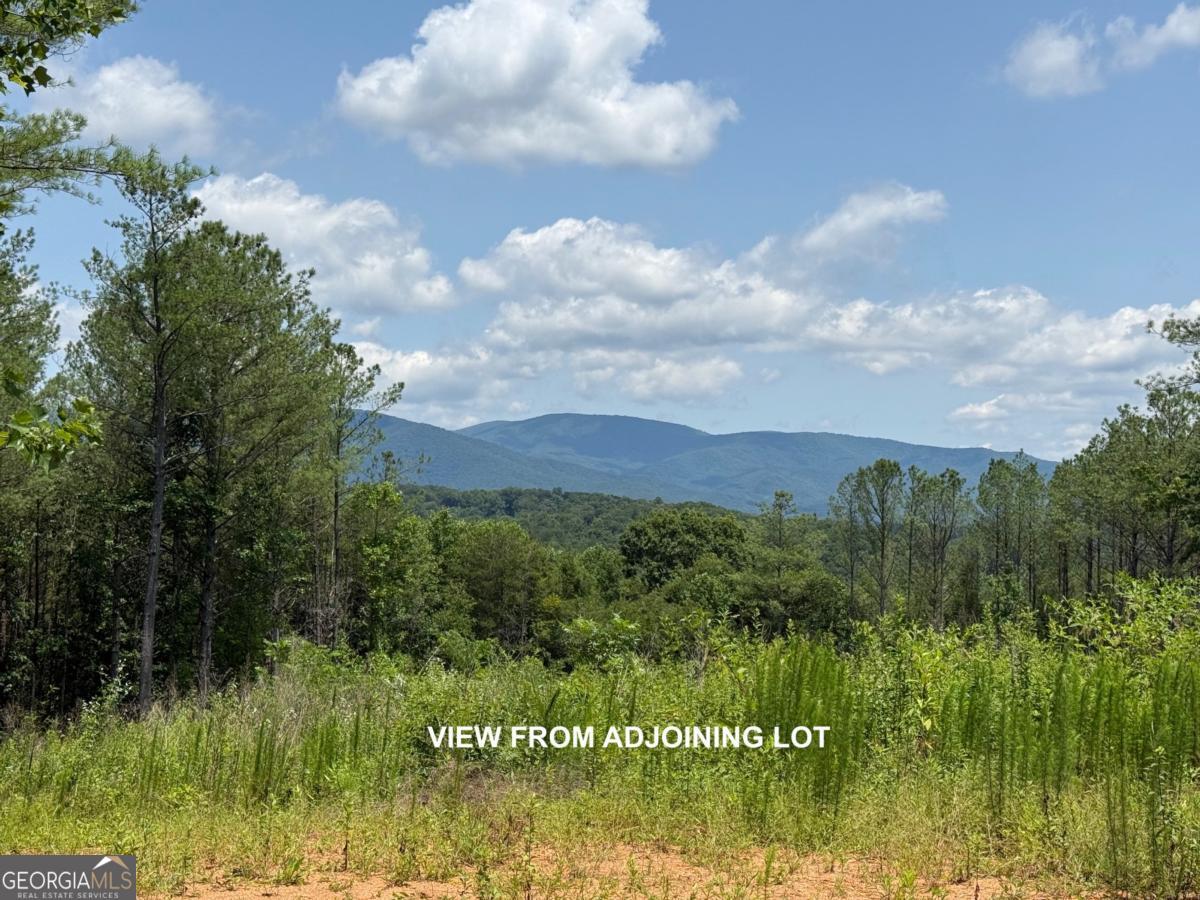 Lot E9 Reece Mountain Road Property Photo 2