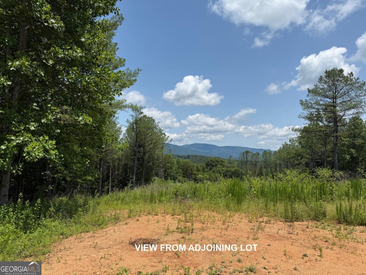 Lot E9 Reece Mountain Road Property Photo 4