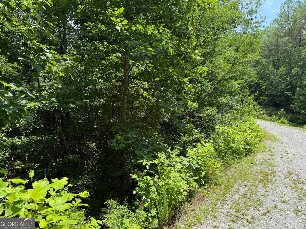 Lot E9 Reece Mountain Road Property Photo 5