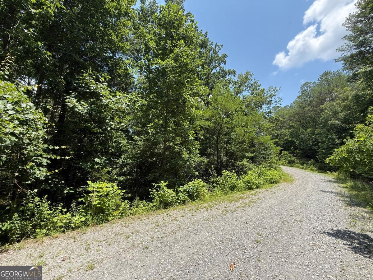 Lot E9 Reece Mountain Road Property Photo 6