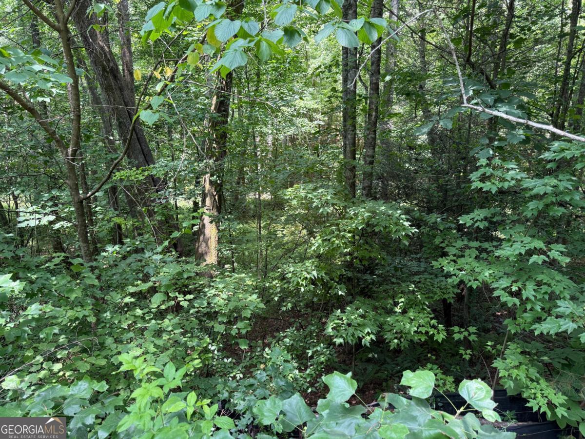 Lot E9 Reece Mountain Road Property Photo 7