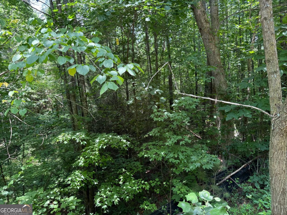 Lot E9 Reece Mountain Road Property Photo 8