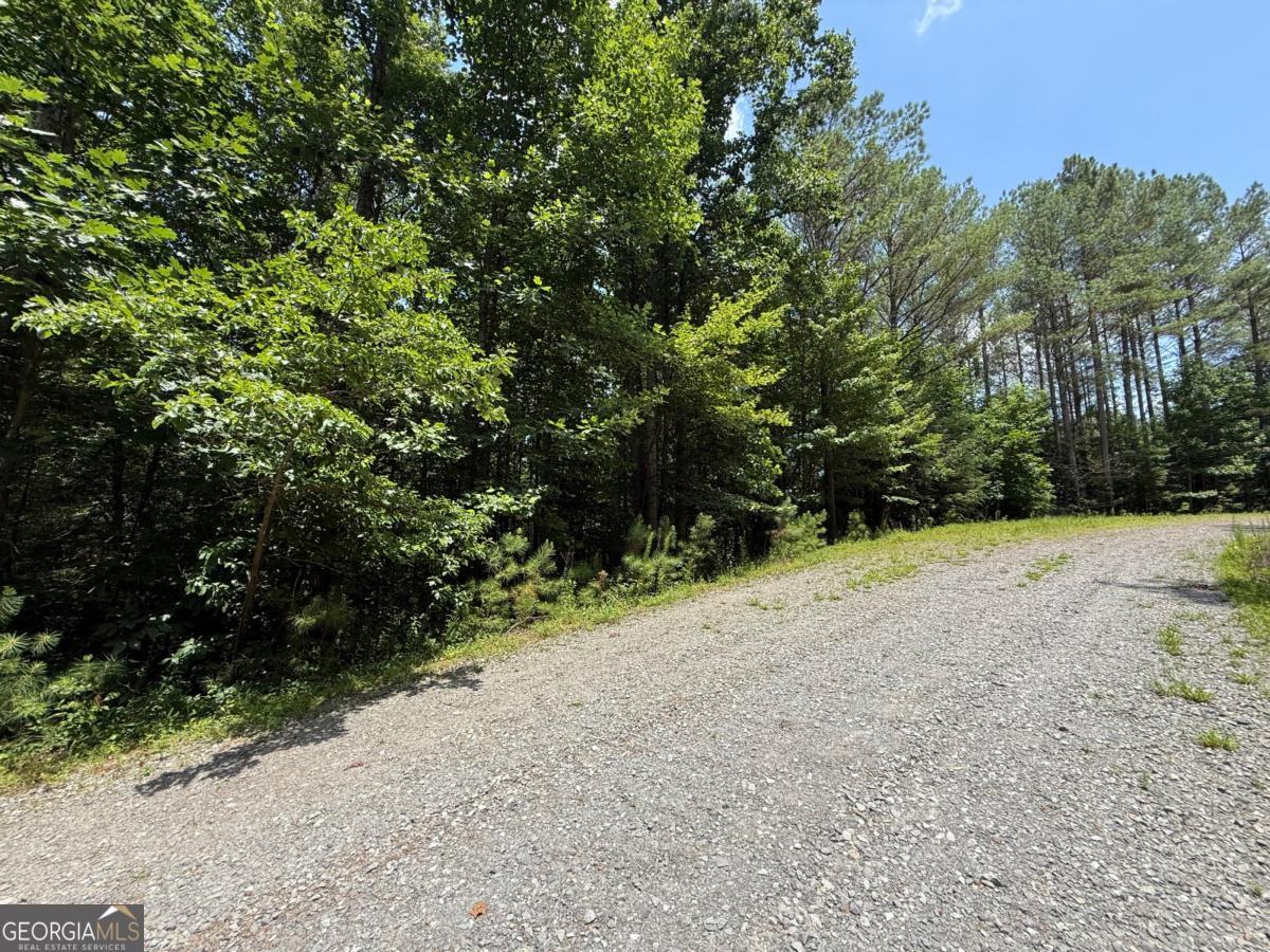 Lot E9 Reece Mountain Road Property Photo 9