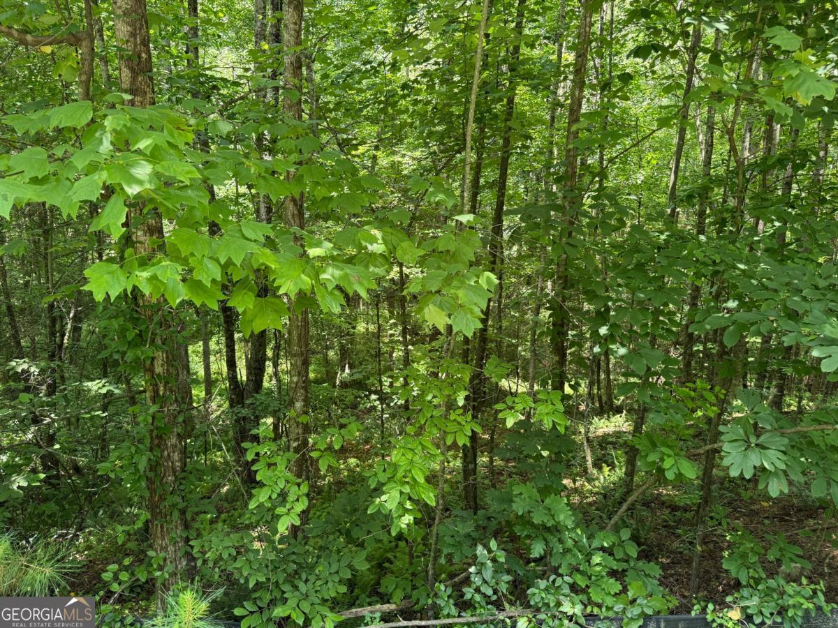 Lot E9 Reece Mountain Road Property Photo 10