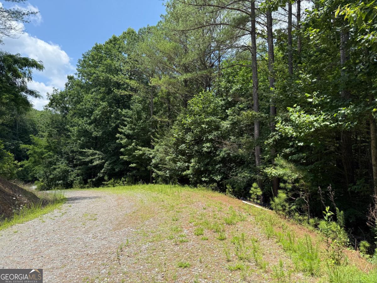 Lot E9 Reece Mountain Road Property Photo 12
