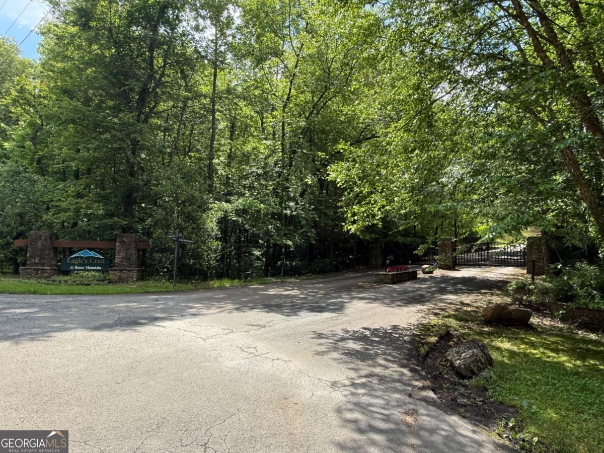 Lot E9 Reece Mountain Road Property Photo 17