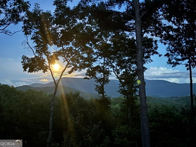 254 Leatherwood Mountain Road Property Photo 85