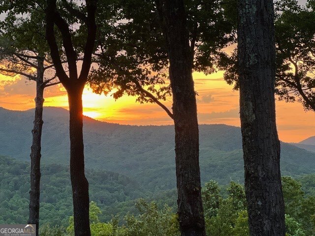 254 Leatherwood Mountain Road Property Photo 88