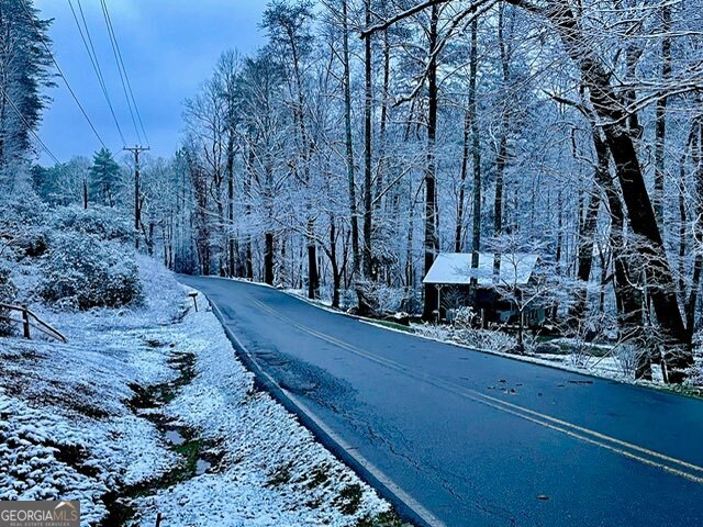 254 Leatherwood Mountain Road Property Photo 91