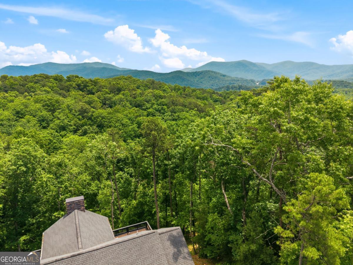 254 Leatherwood Mountain Road Property Photo 93