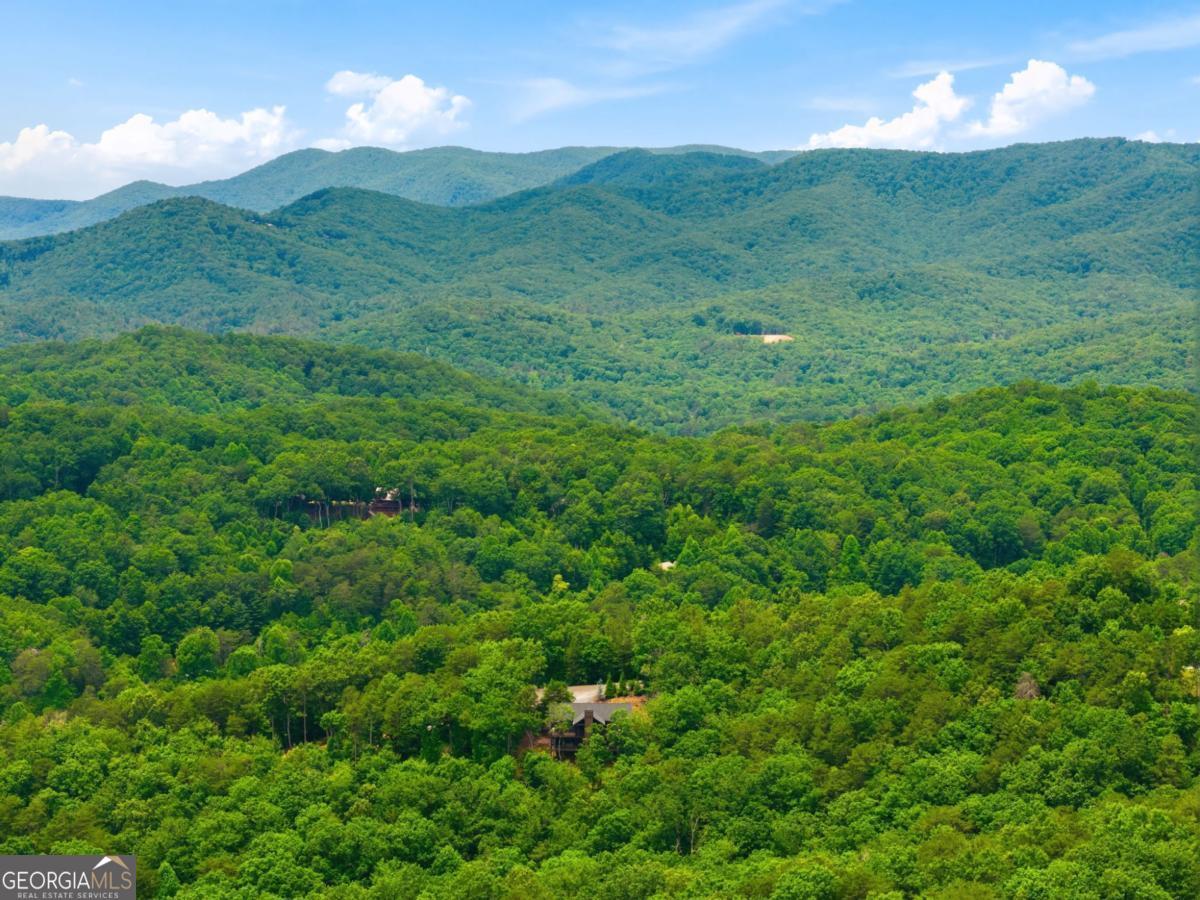 254 Leatherwood Mountain Road Property Photo 95