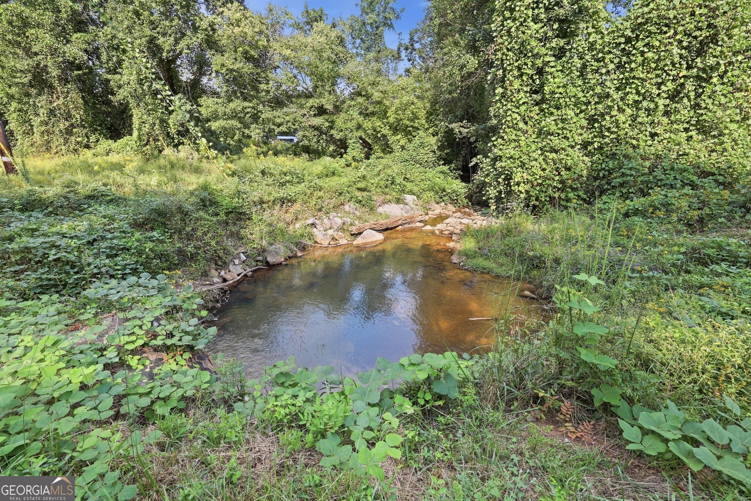 850 Fernside Drive Property Photo 3