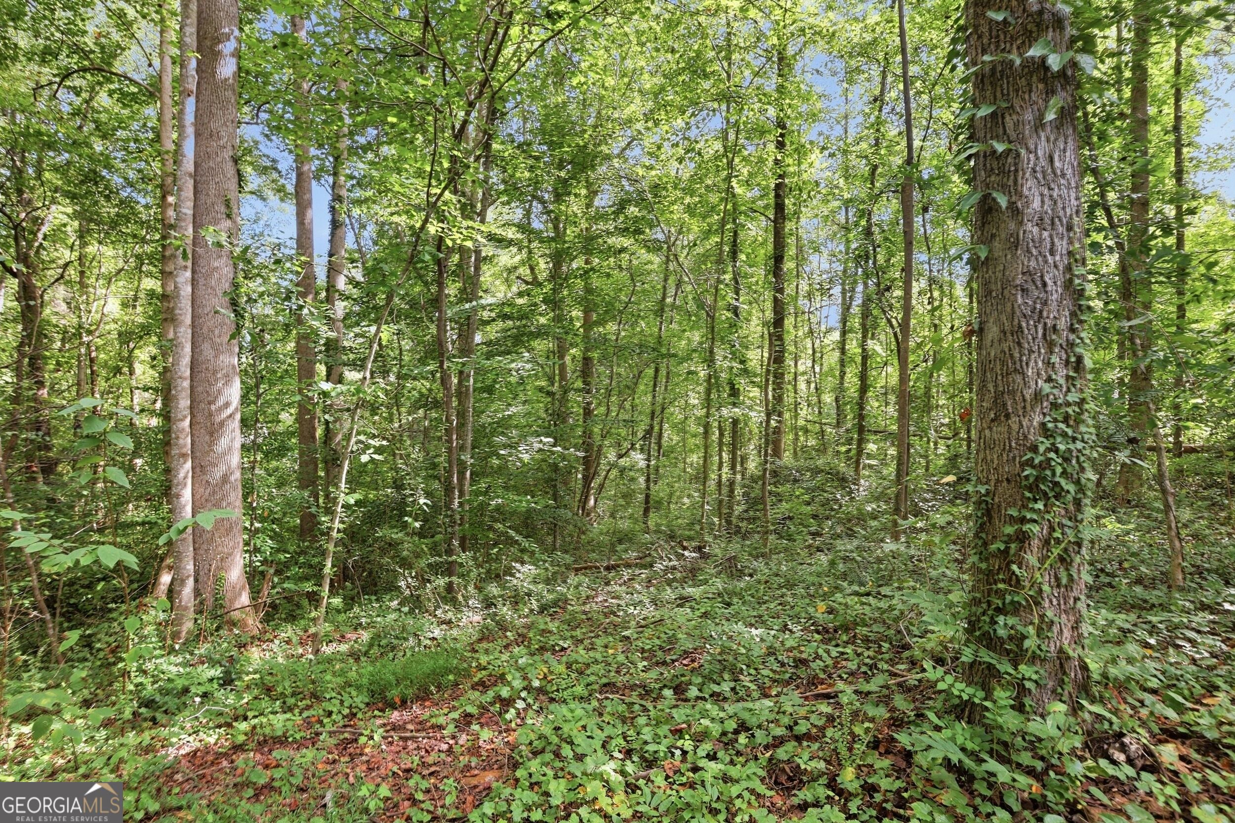 850 Fernside Drive Property Photo 7