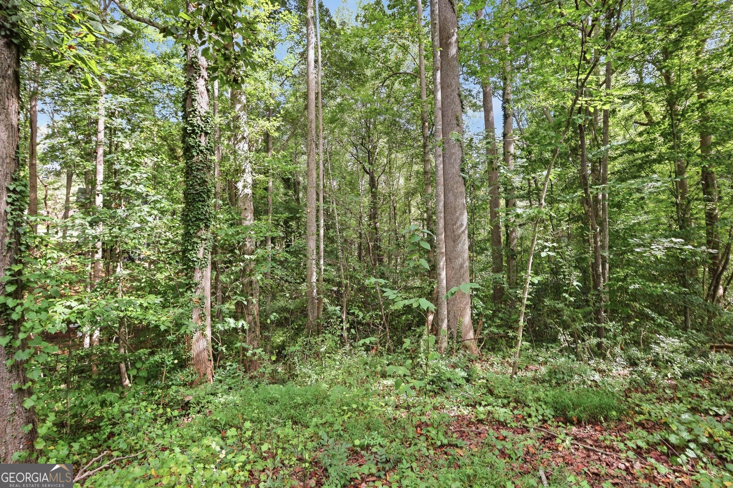 850 Fernside Drive Property Photo 8
