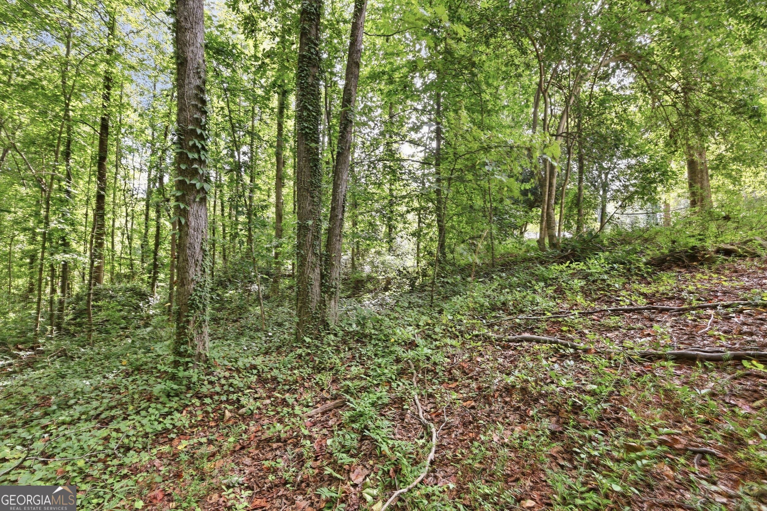 850 Fernside Drive Property Photo 10