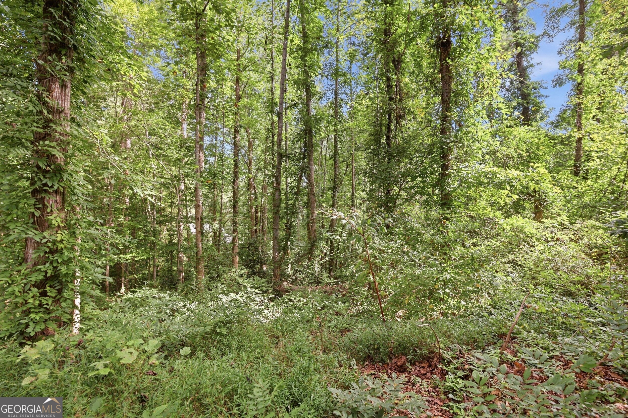 850 Fernside Drive Property Photo 11