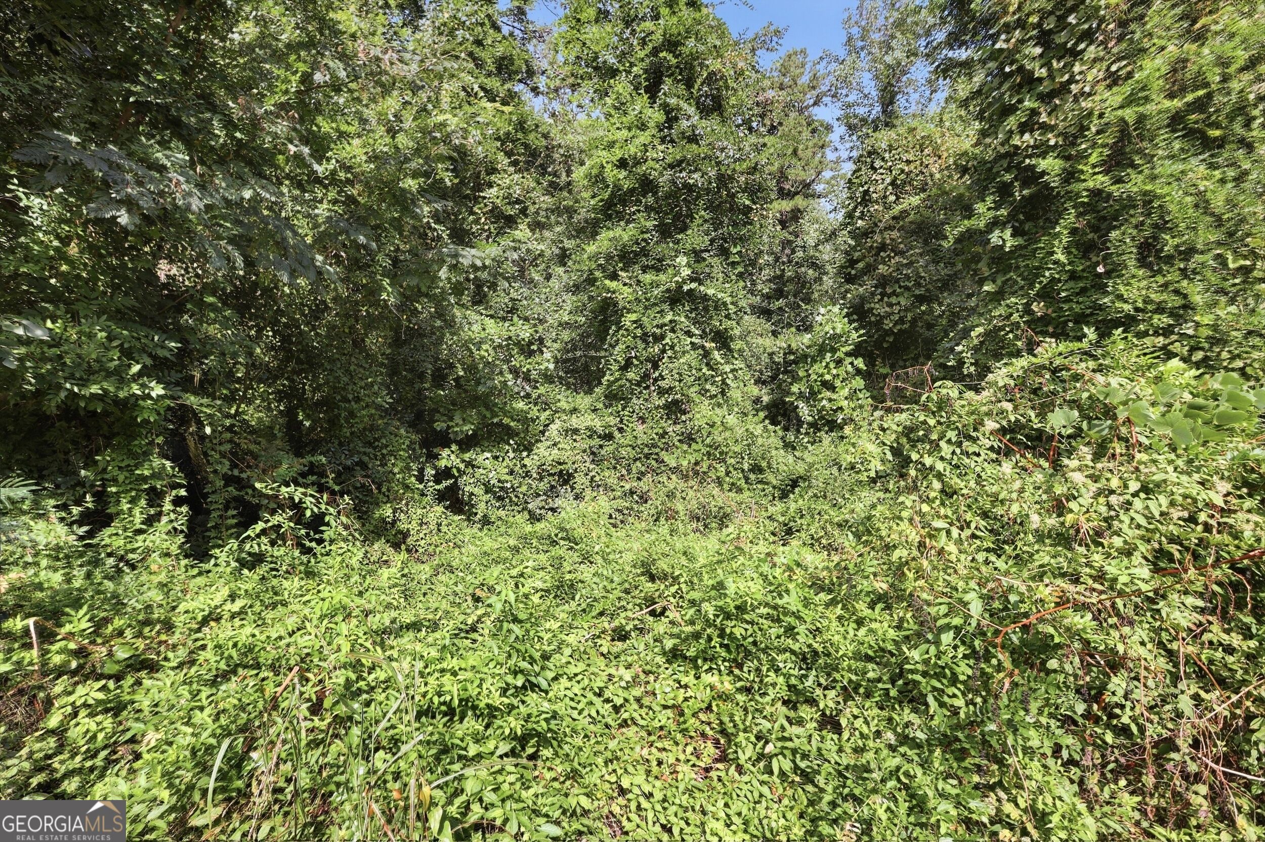 850 Fernside Drive Property Photo 13