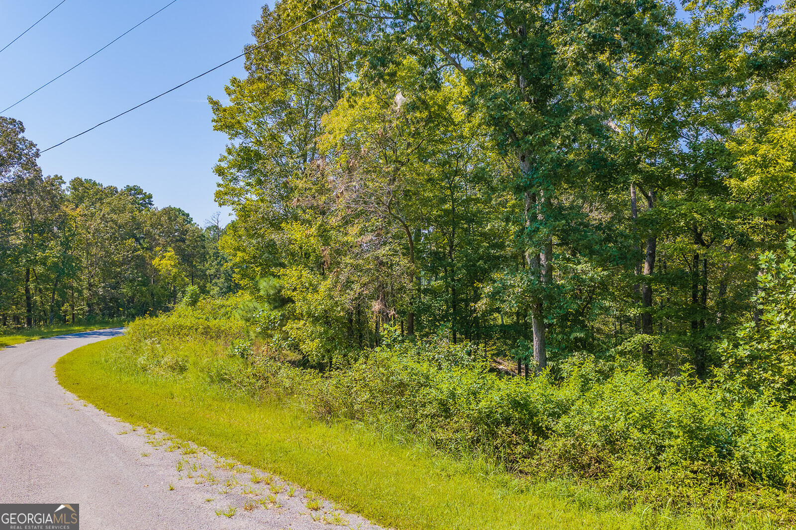 Lot 31 Freestone Street Property Photo 2