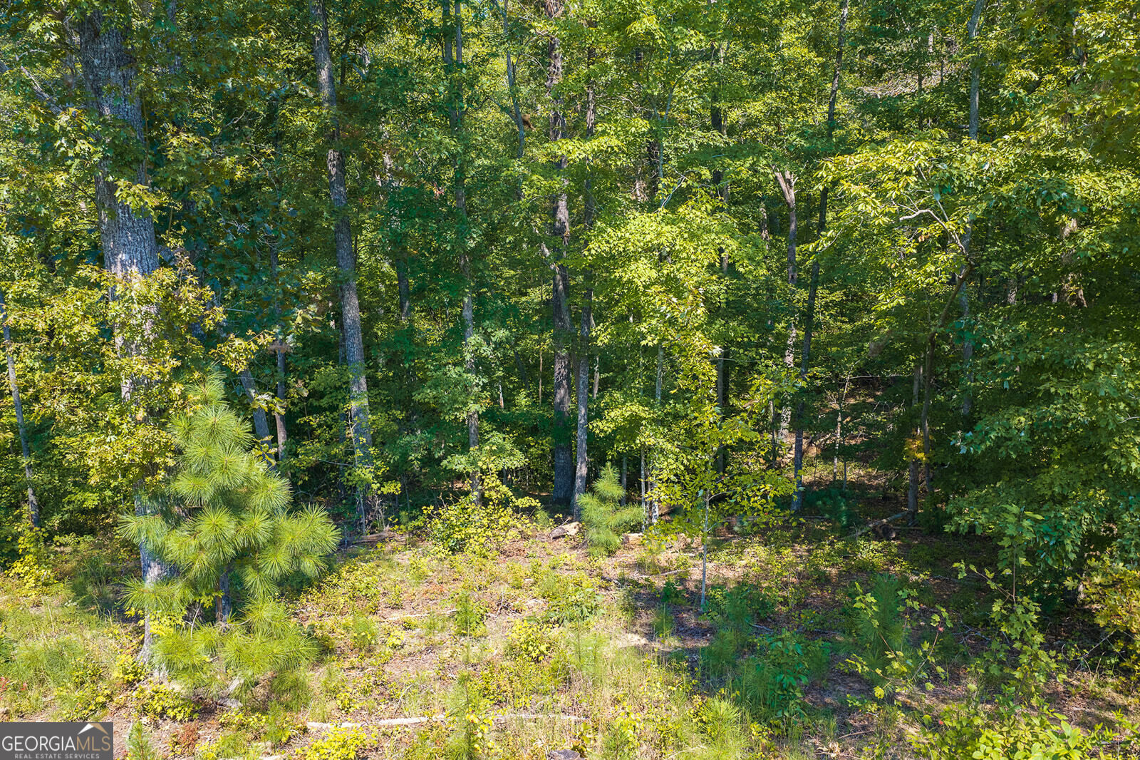 Lot 31 Freestone Street Property Photo 7