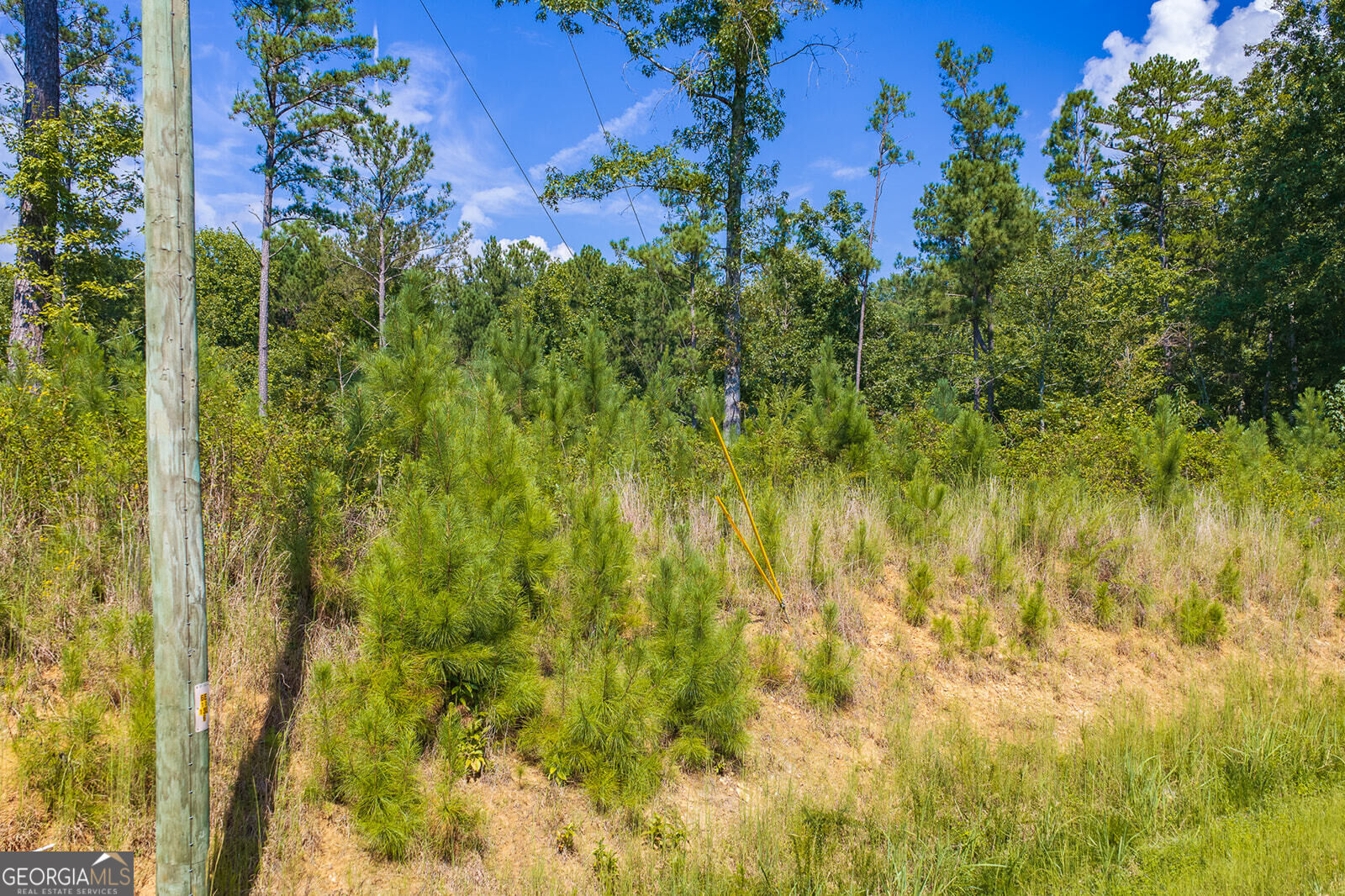 Lot 31 Freestone Street Property Photo 12