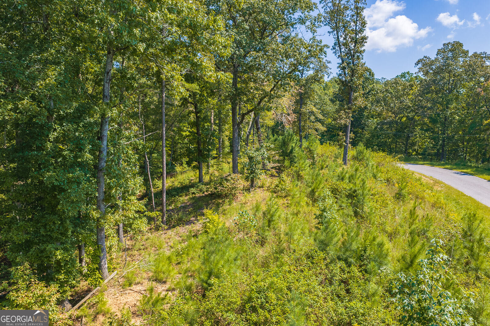 Lot 31 Freestone Street Property Photo 13