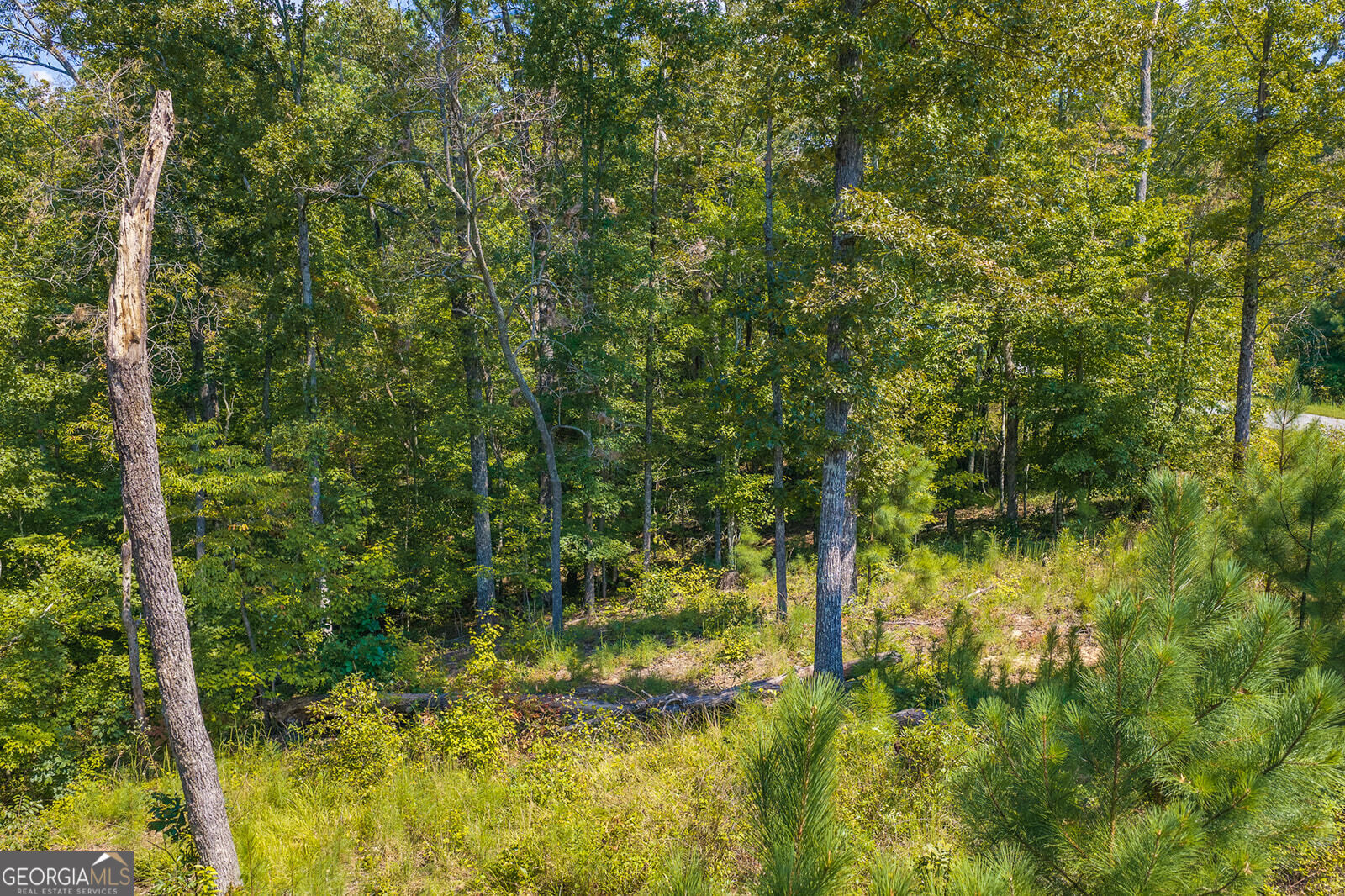 Lot 31 Freestone Street Property Photo 14