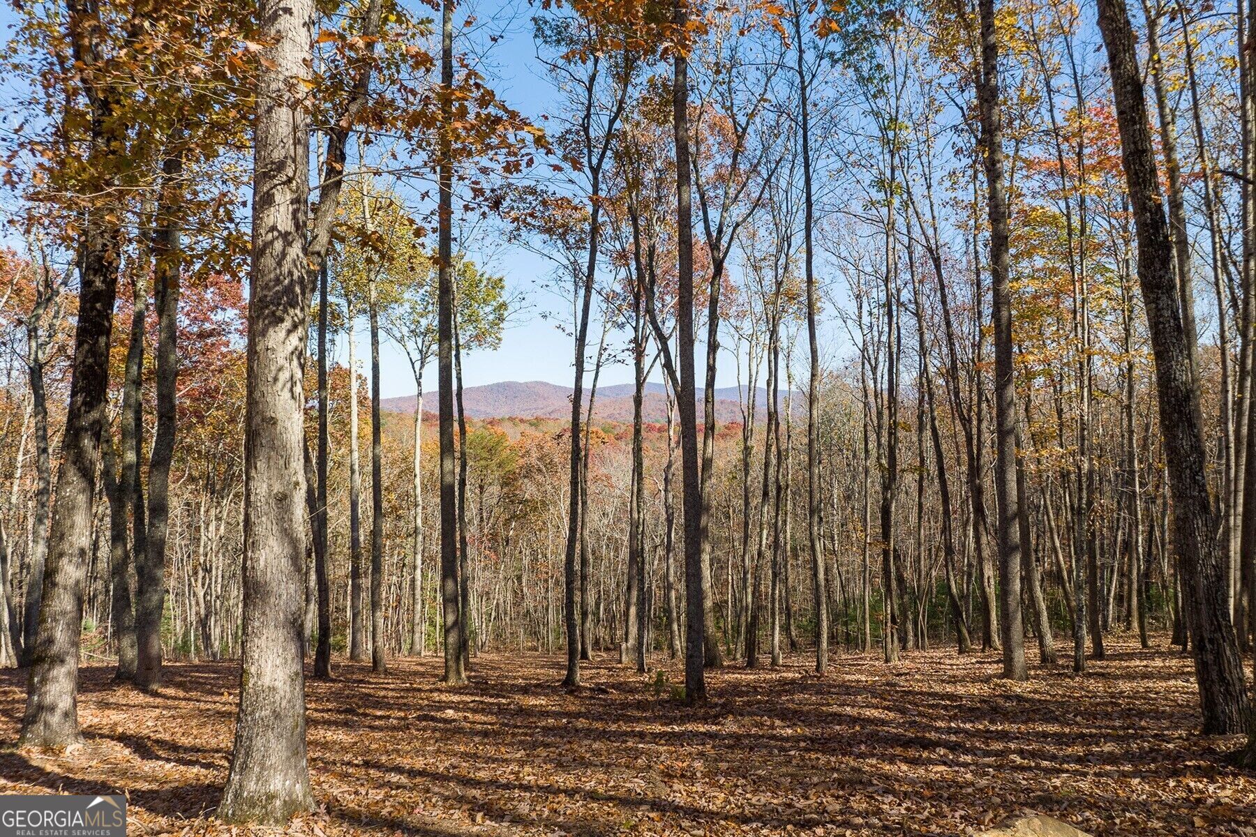 19r Settlement Trail Property Photo 1