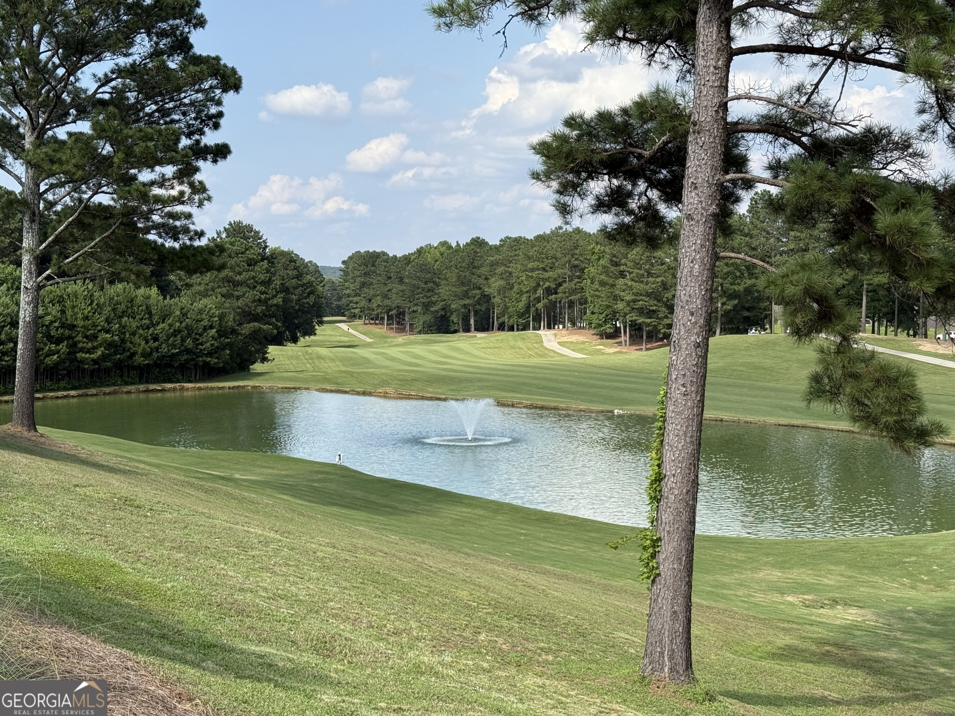 108 Vine Creek Place Property Photo 68