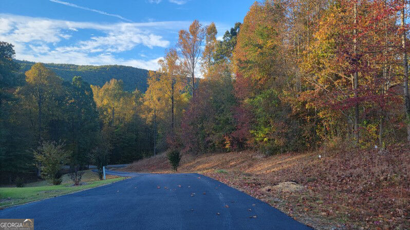 107 Piney Lane Property Photo 74