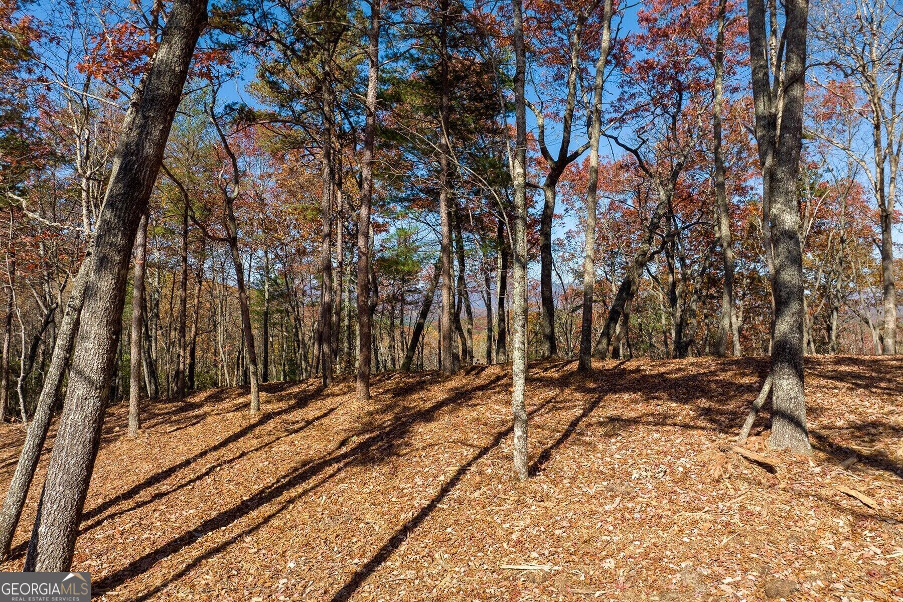 Lot 41 Preserve Trail Property Photo 1