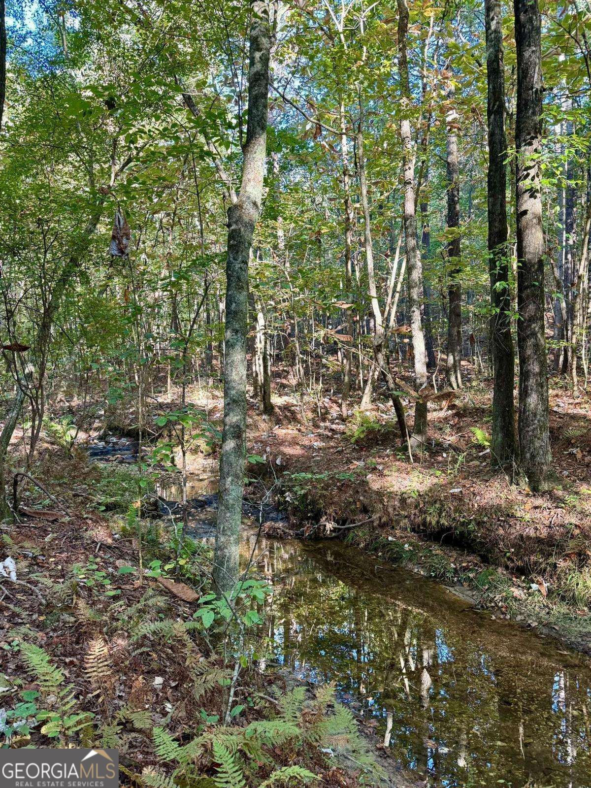 #17 Lone Bear Path Property Photo 3