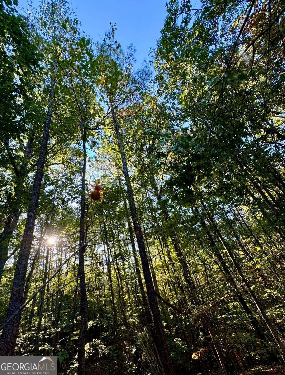 #17 Lone Bear Path Property Photo 4