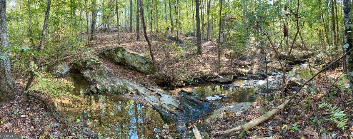 #17 Lone Bear Path Property Photo 5
