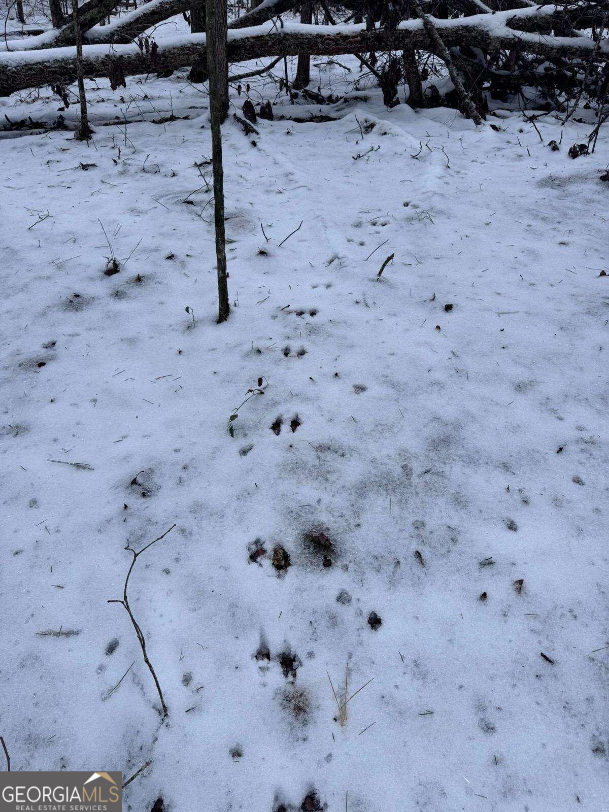 #17 Lone Bear Path Property Photo 7