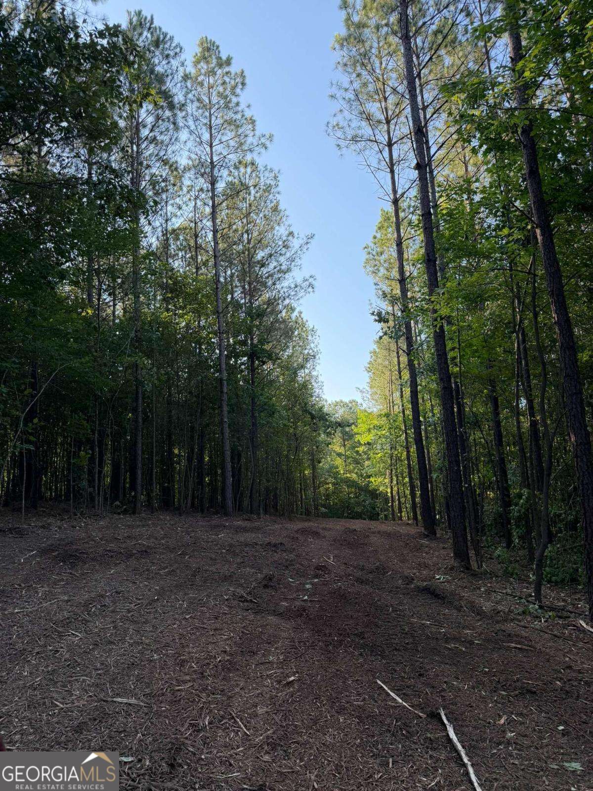 #17 Lone Bear Path Property Photo 8