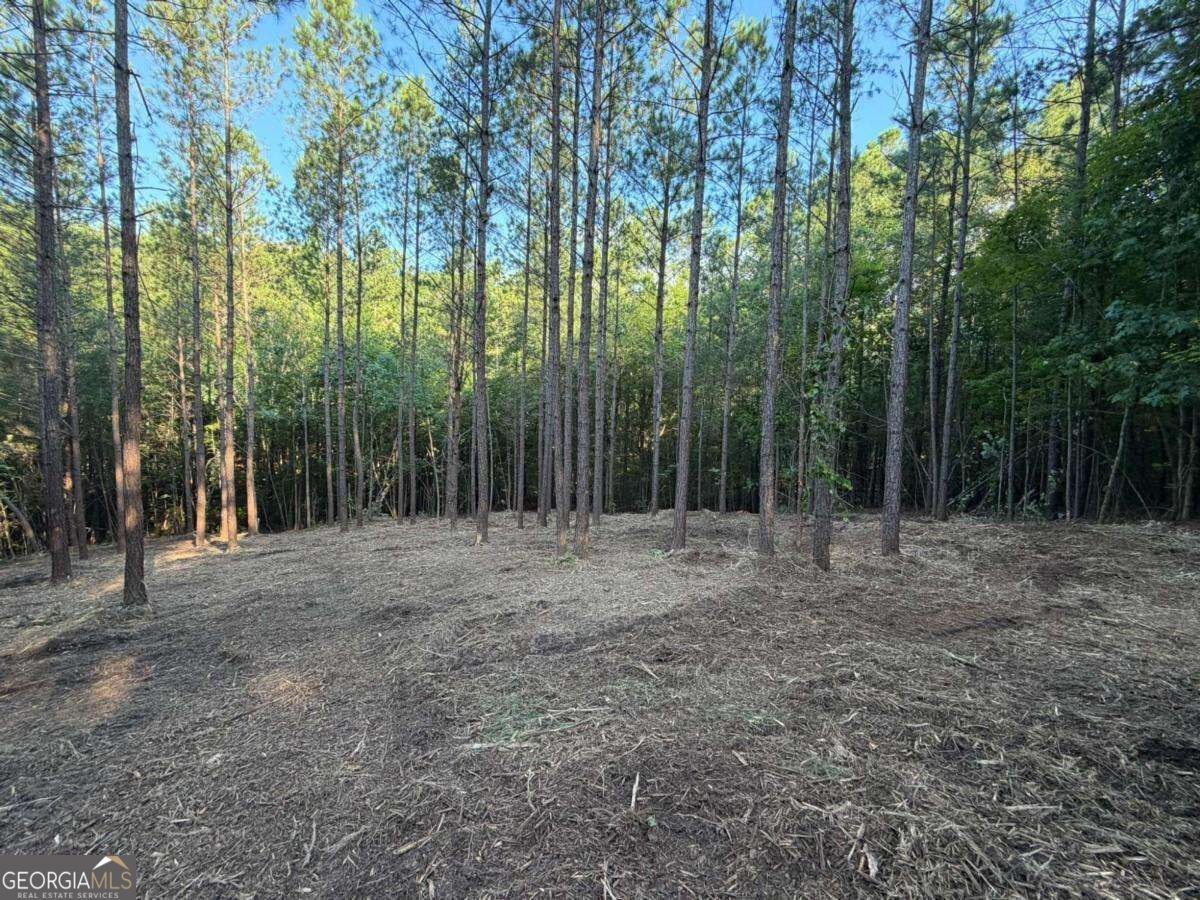 #17 Lone Bear Path Property Photo 10