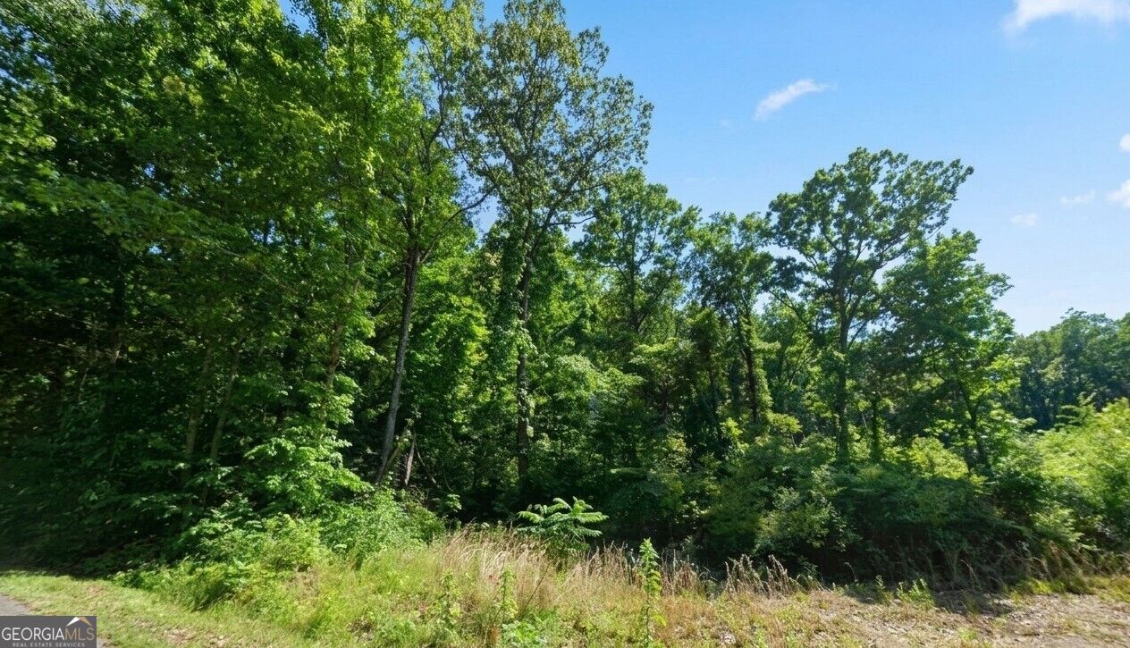 77 Autumnwood Trail