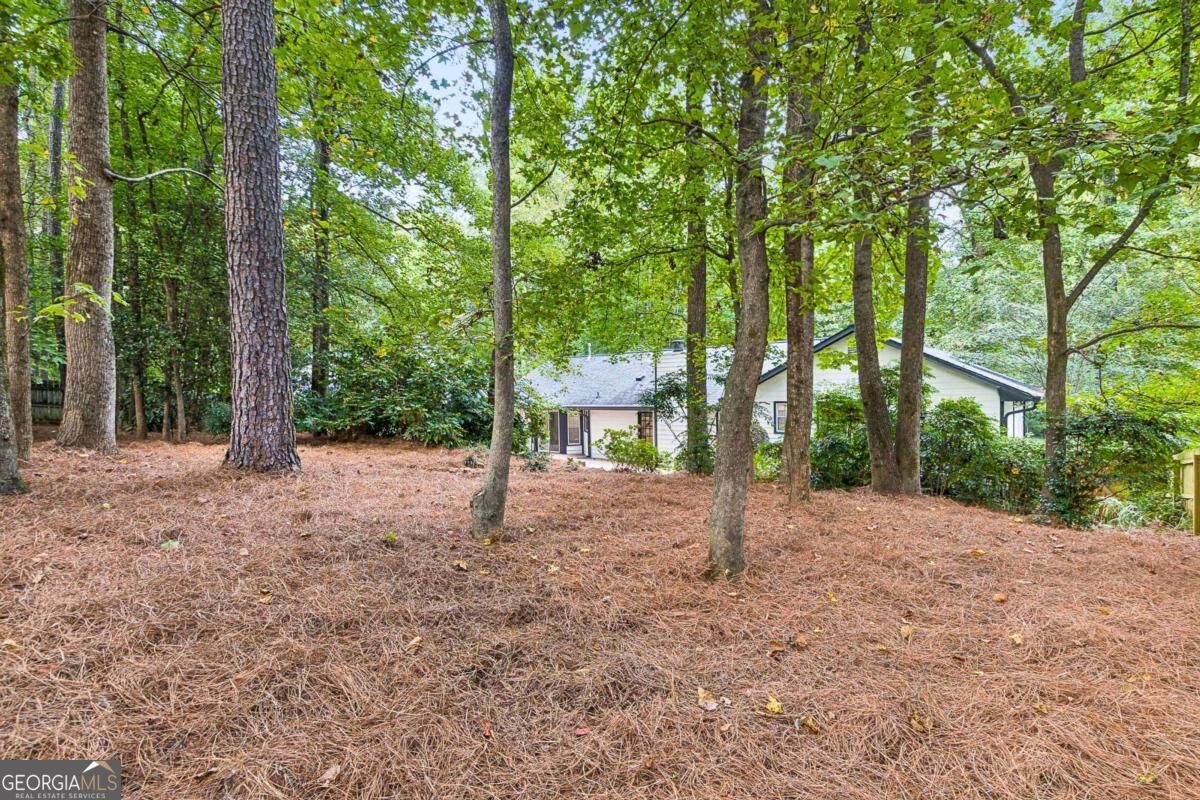 2658 Chimney Springs Drive Property Photo 42