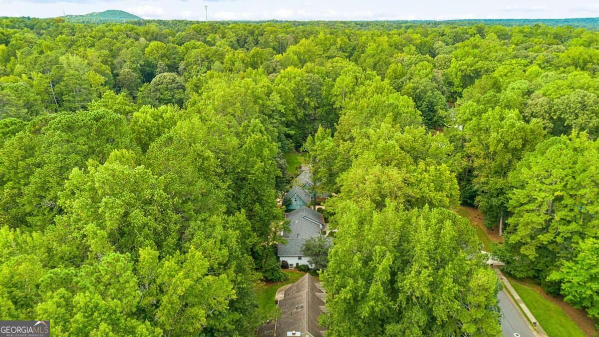2658 Chimney Springs Drive Property Photo 46
