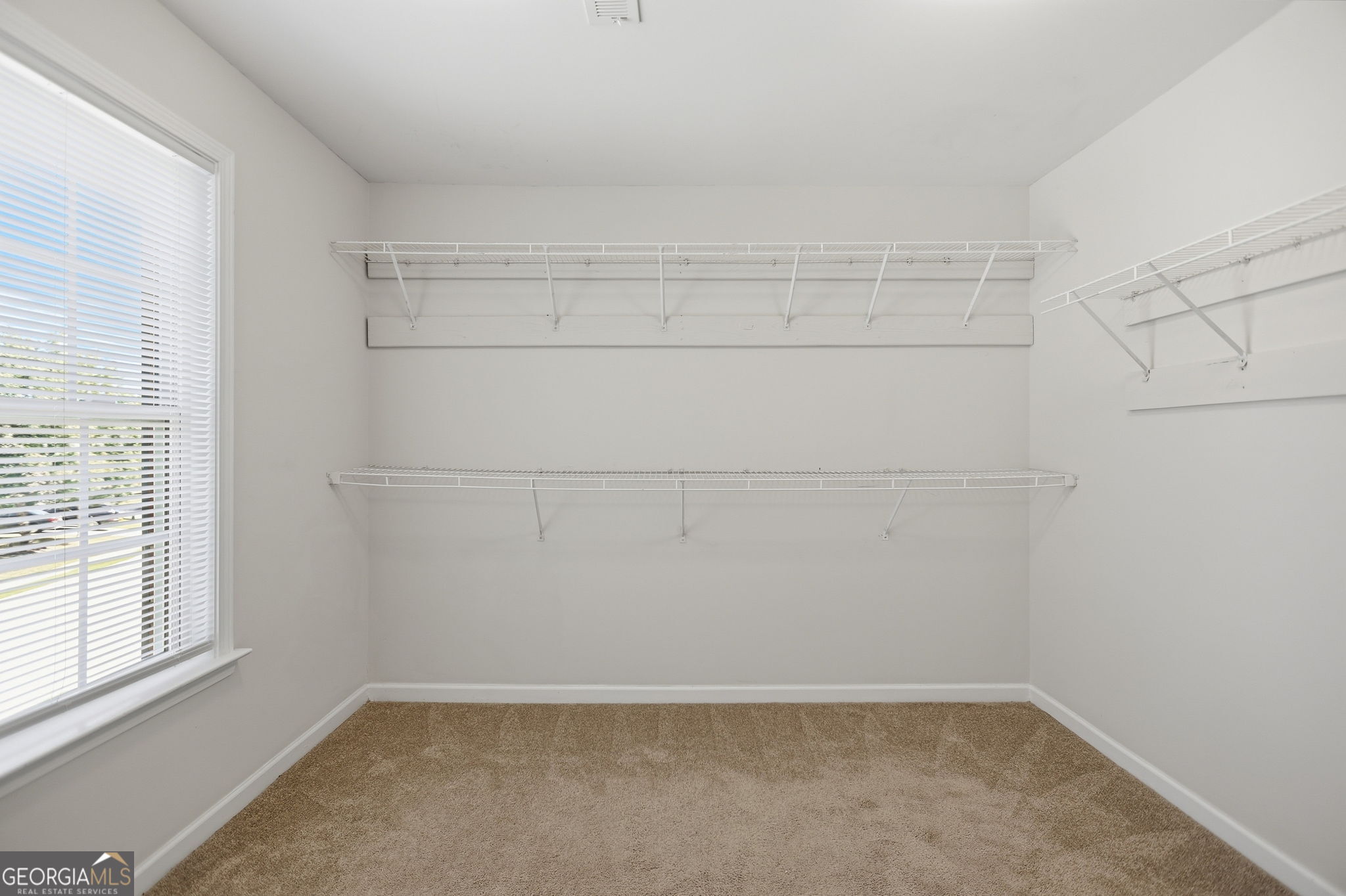111 Carlisle Street Property Photo 26