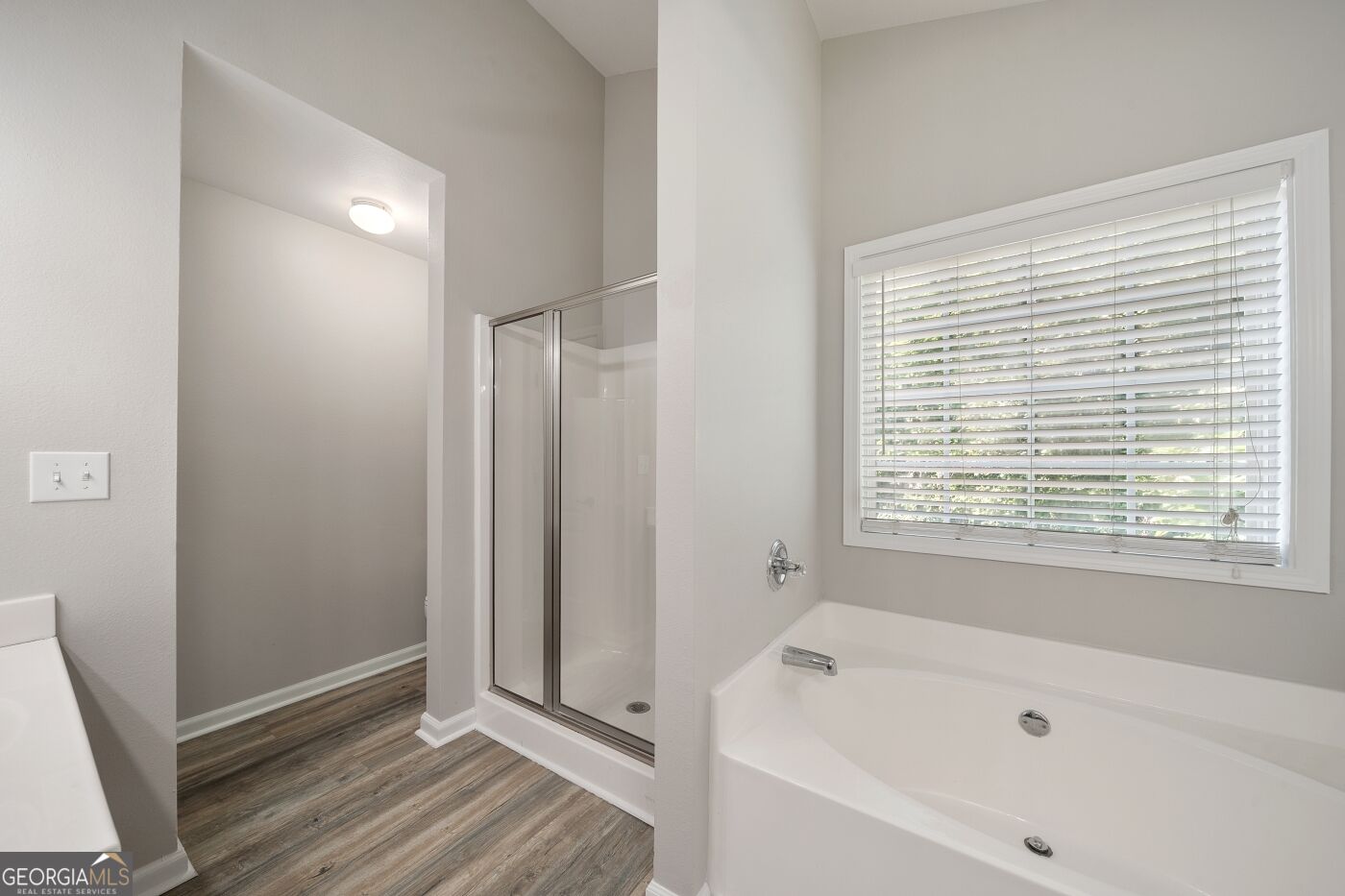 6973 Grand Hickory Drive Property Photo 29