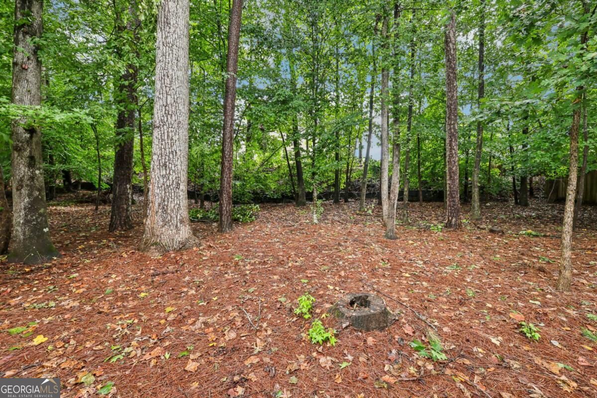 3845 Summit Gate Drive Property Photo 58